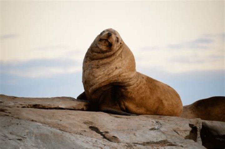 20 Fascinating Photos That Separate Fact From Fiction