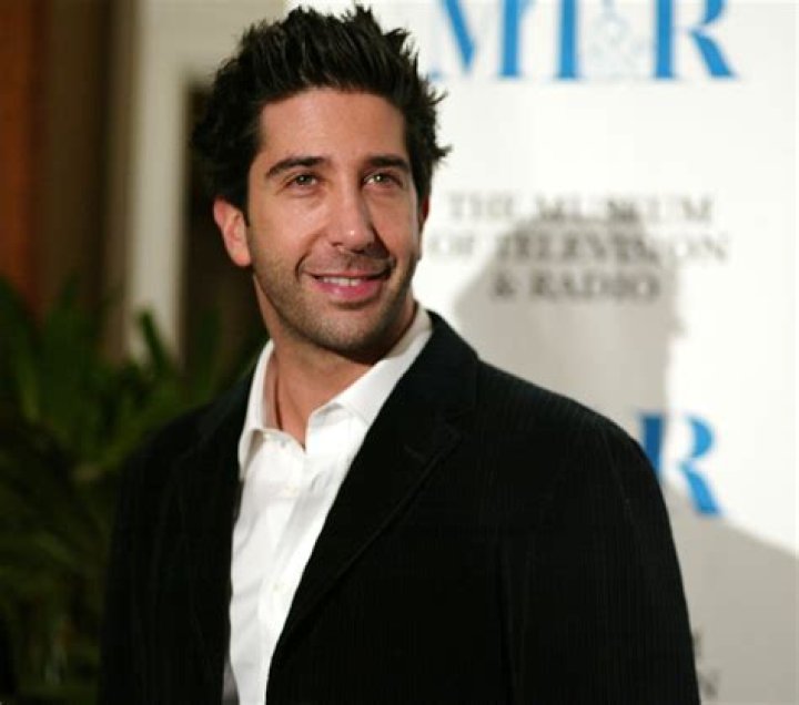 David Schwimmer – Celebsgraphy