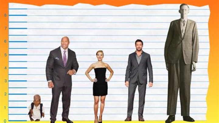 How tall is Dwayne Johnson The Rock