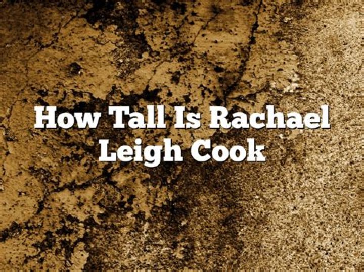 How tall is Rachael Leigh Cook