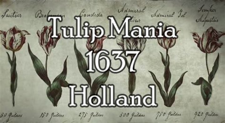 How Tulip Mania Created History's First Financial Bubble