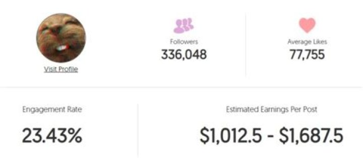 Spifey Age | Wiki, Net worth, Bio, Height, Girlfriend?