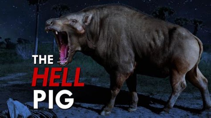 The Prehistoric "Hell Pig" That Weighed 2,000 Pounds