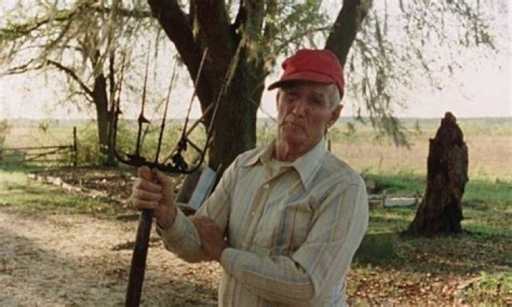 The Story Of Florida's "Nub City," Where Residents Cut Off Their Own Appendages For Insurance Money